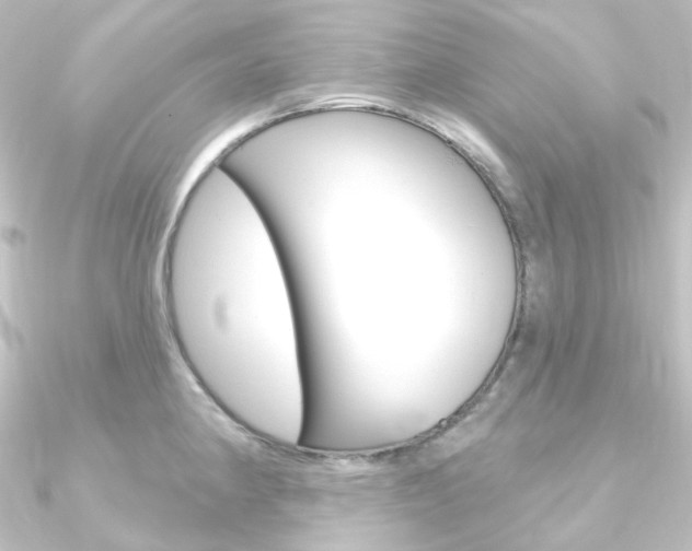 X0000090951190200708021055