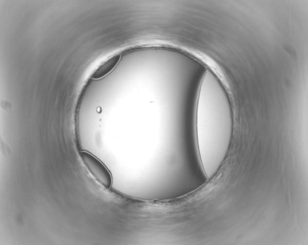 X0000090951191200708021055