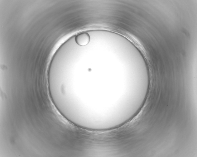 X0000090951192200708021055