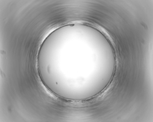 X0000090951194200708021055