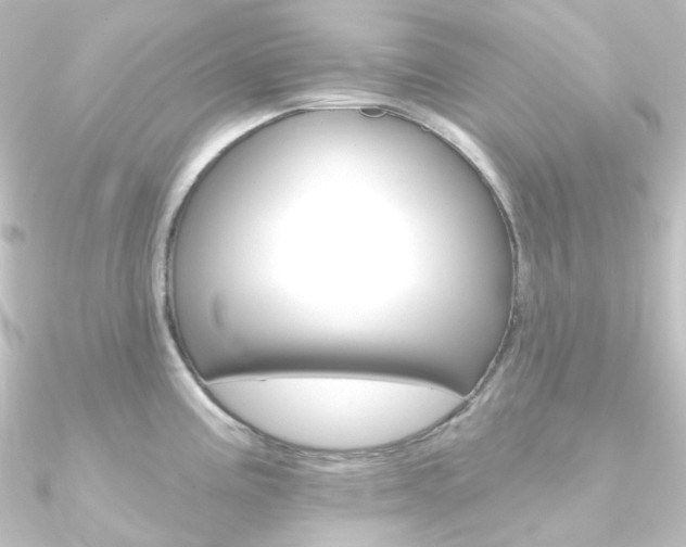 X0000090951195200708021055