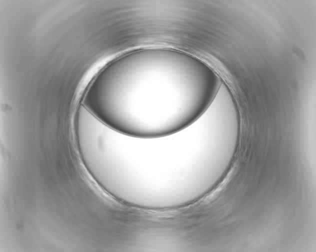 X0000090951196200708021055