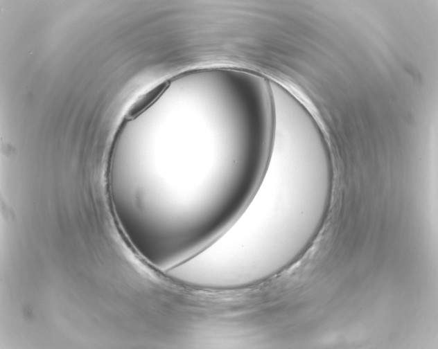 X0000090951197200708021055