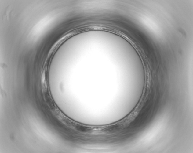 X0000090951198200708021055