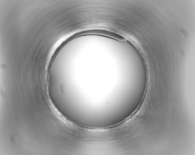 X0000090951200200708021055