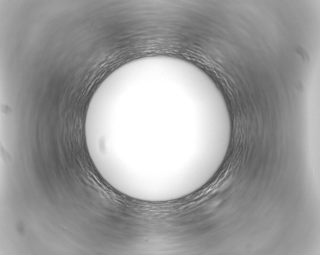 X0000090951202200708021054