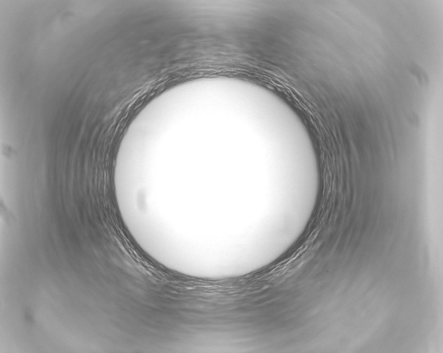 X0000090951204200708021054
