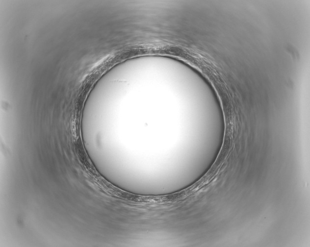 X0000090951205200708021054