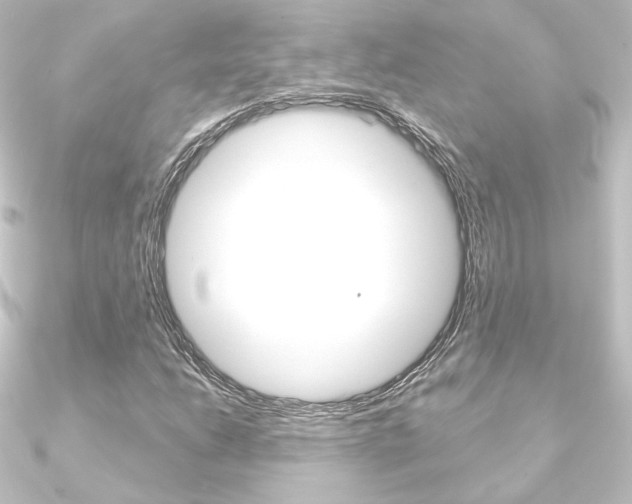 X0000090951206200708021054