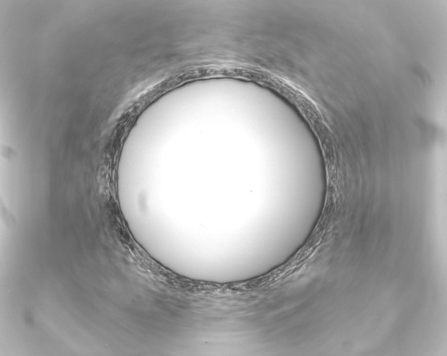 X0000090951207200708021054