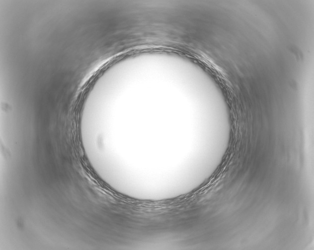 X0000090951208200708021054