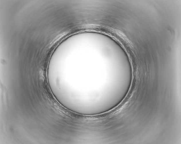 X0000090951209200708021054