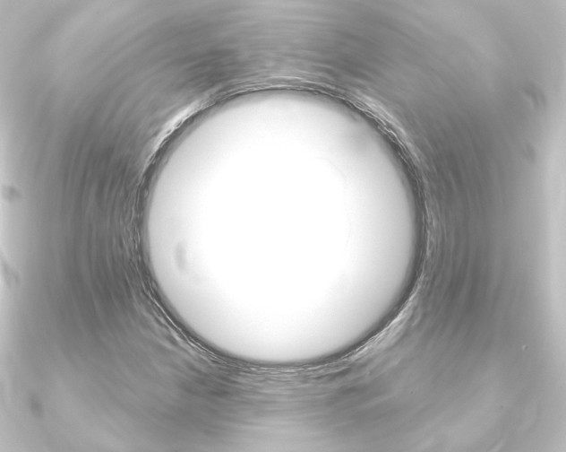 X0000090951210200708021054