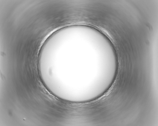 X0000090951212200708021054