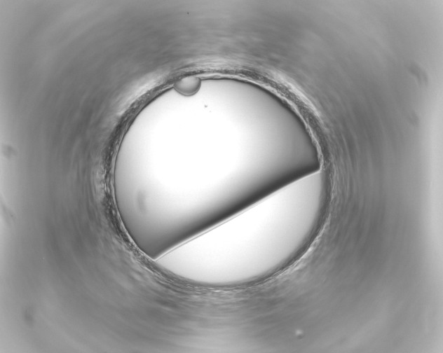 X0000090951213200708021054