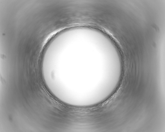X0000090951214200708021054