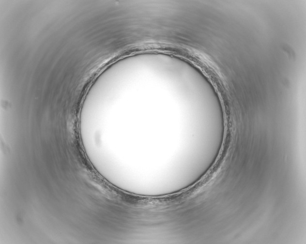 X0000090951217200708021054