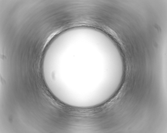 X0000090951218200708021054