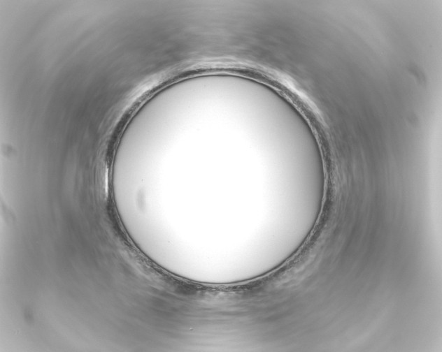 X0000090951221200708021054