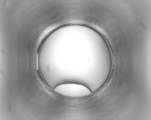 X0000090951223200708021054