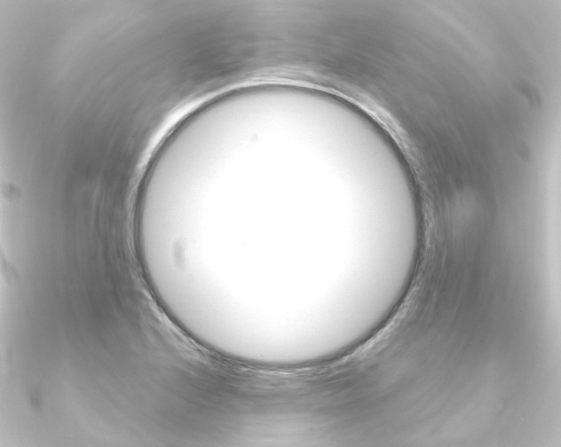 X0000090951224200708021054