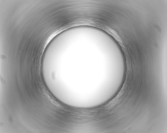 X0000090951226200708021054
