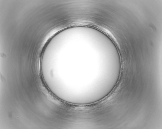 X0000090951227200708021054