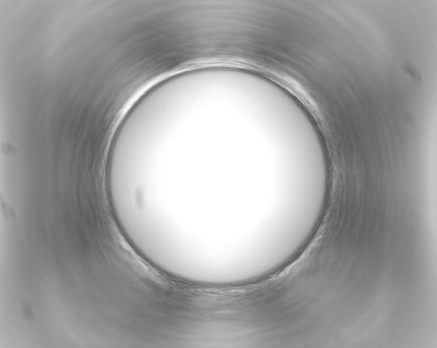 X0000090951228200708021054