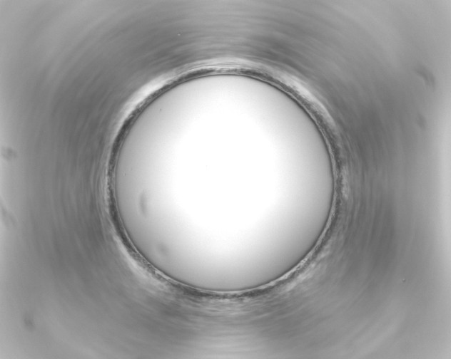 X0000090951229200708021054