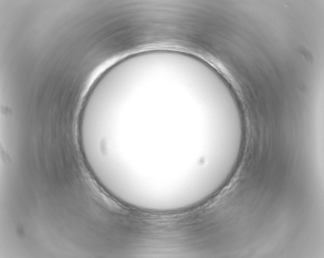 X0000090951230200708021054