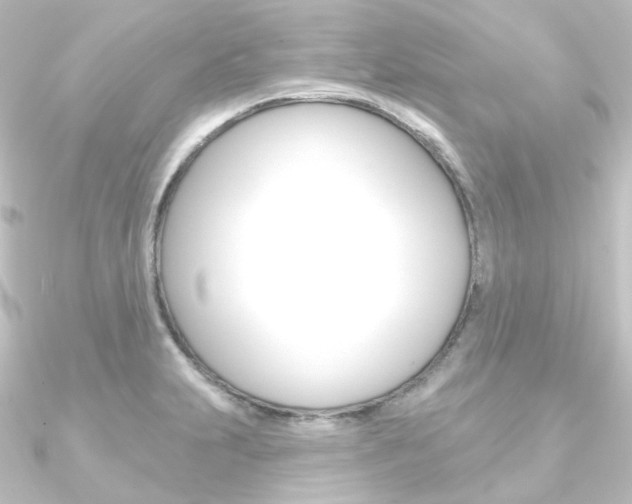 X0000090951231200708021054