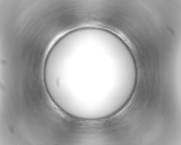 X0000090951232200708021054