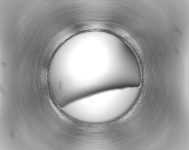 X0000090951233200708021054