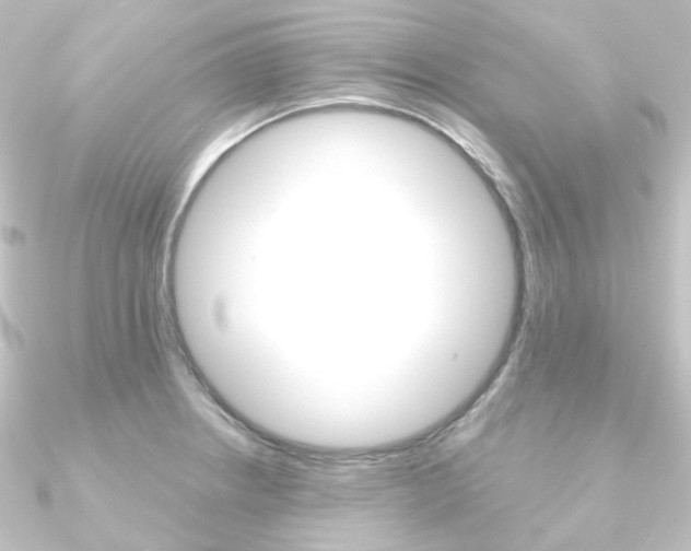 X0000090951234200708021054