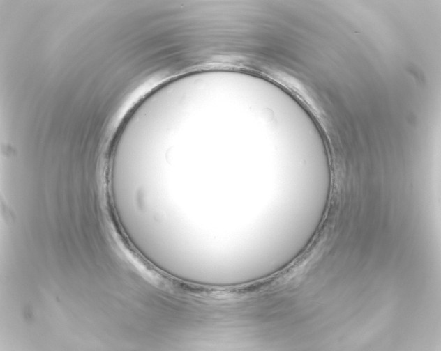 X0000090951235200708021054
