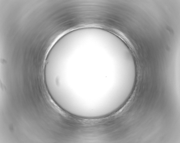 X0000090951236200708021054