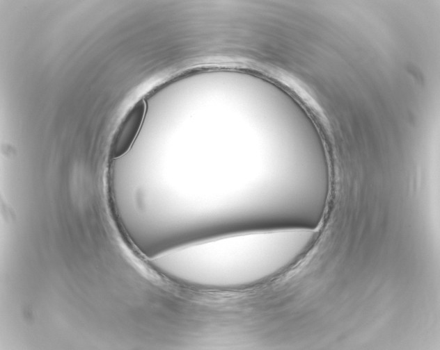 X0000090951237200708021054