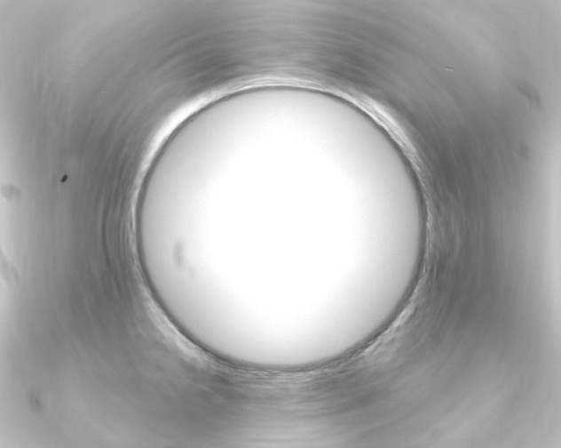 X0000090951238200708021054