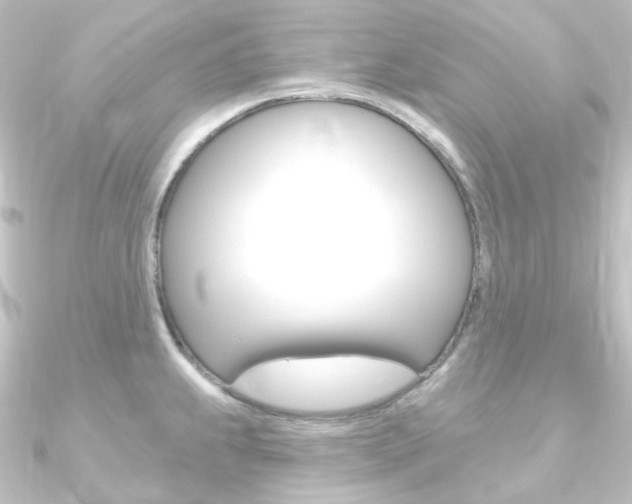X0000090951239200708021054