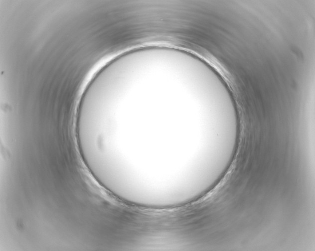 X0000090951240200708021055