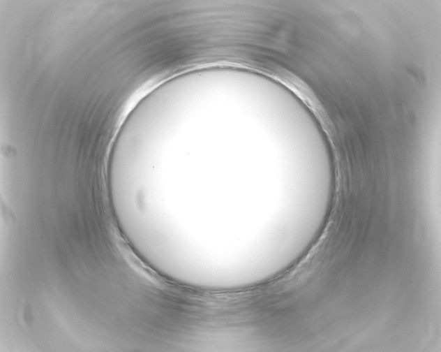 X0000090951242200708021055