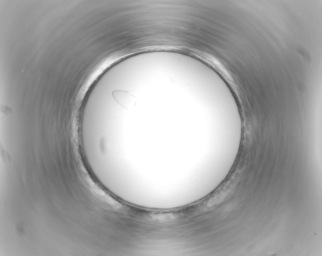 X0000090951243200708021055