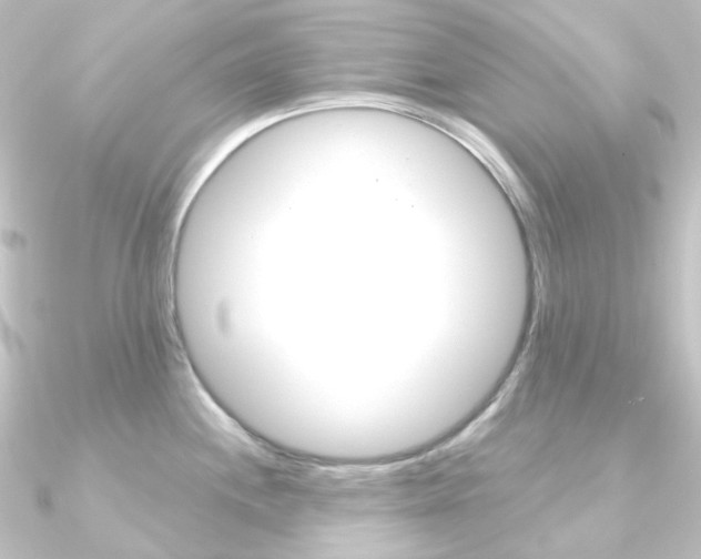 X0000090951244200708021055