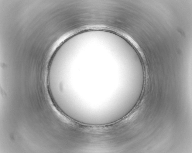 X0000090951245200708021055