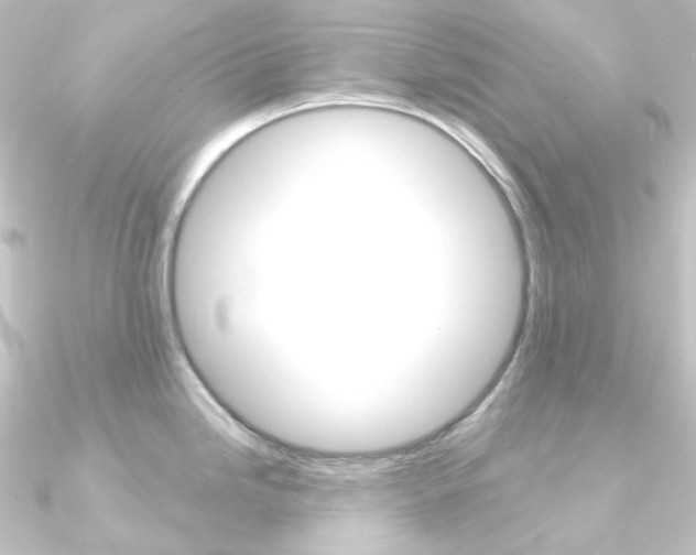 X0000090951246200708021055