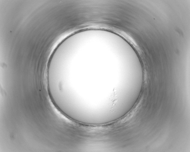 X0000090951247200708021055