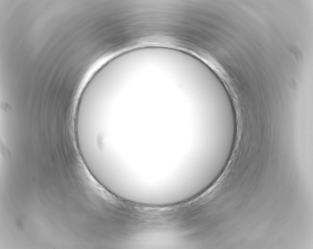 X0000090951248200708021055