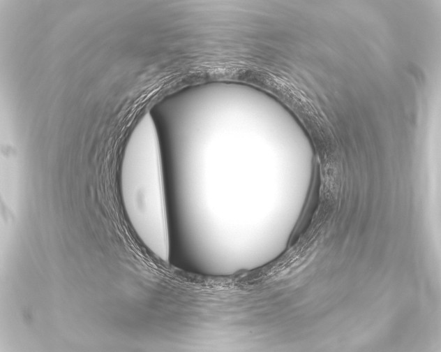 X0000090951249200708021054