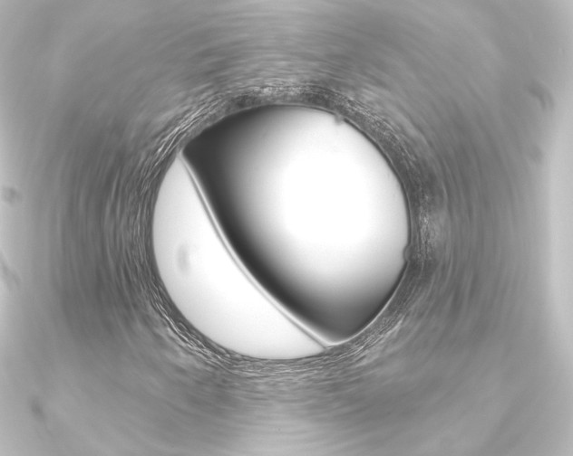 X0000090951250200708021054