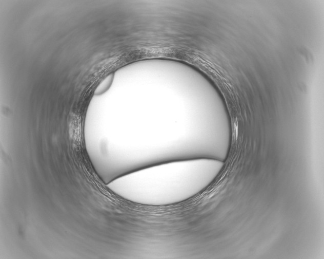 X0000090951251200708021054